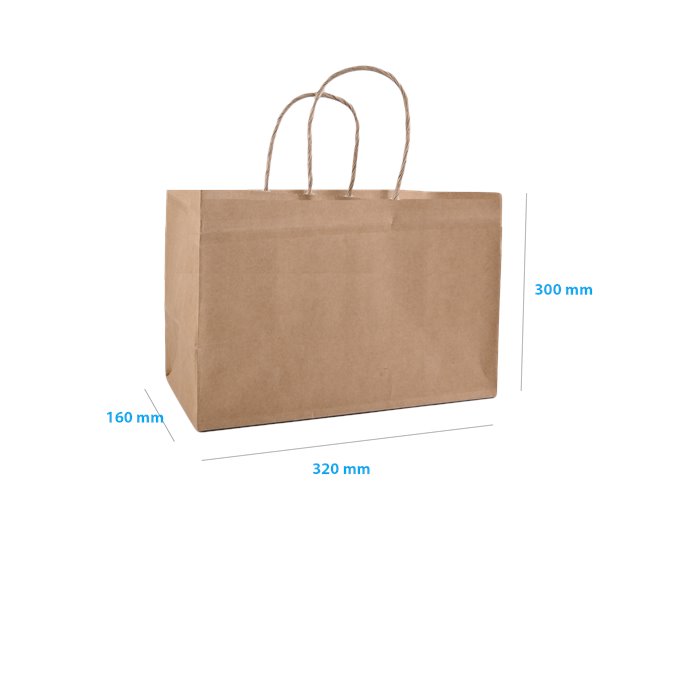 Torba papierowa 320x160x300 /100 sztuk